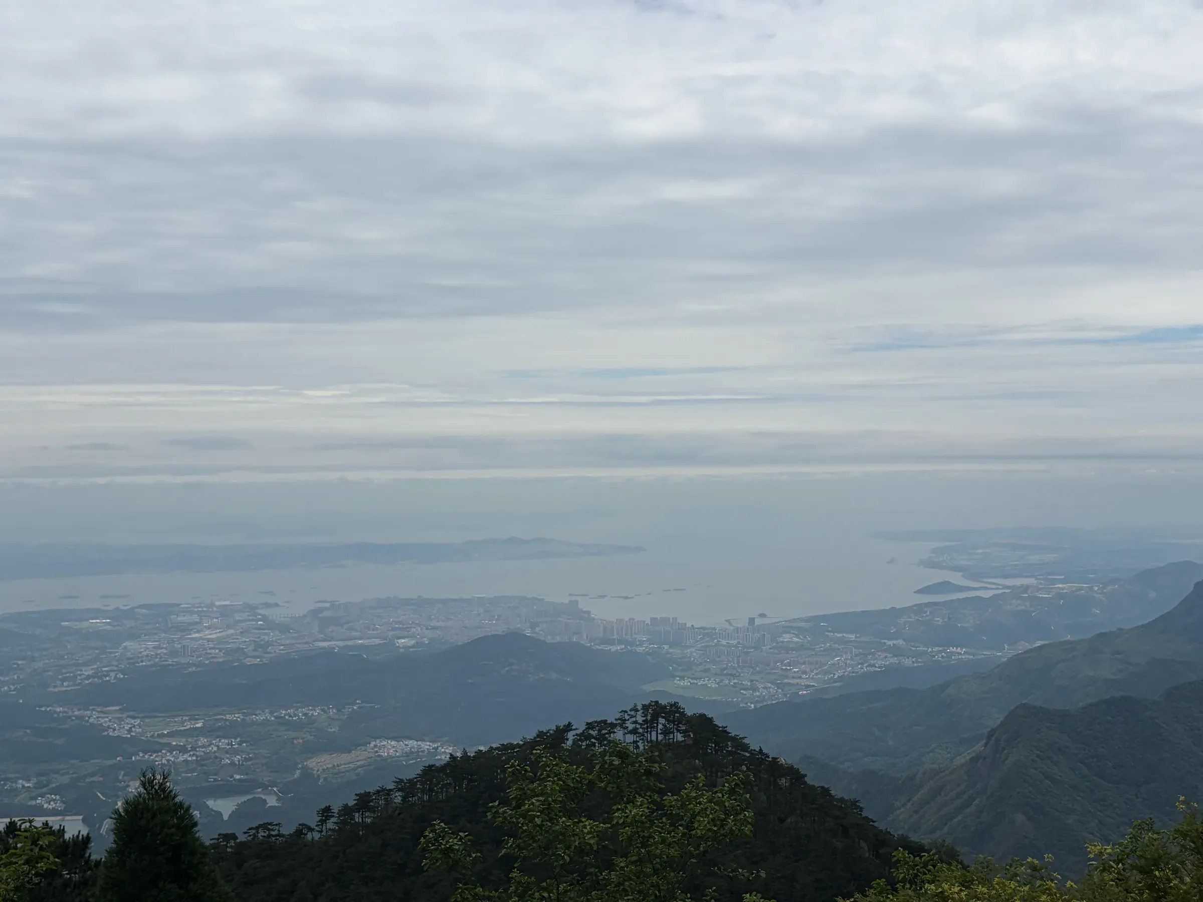 image-20260614005633007