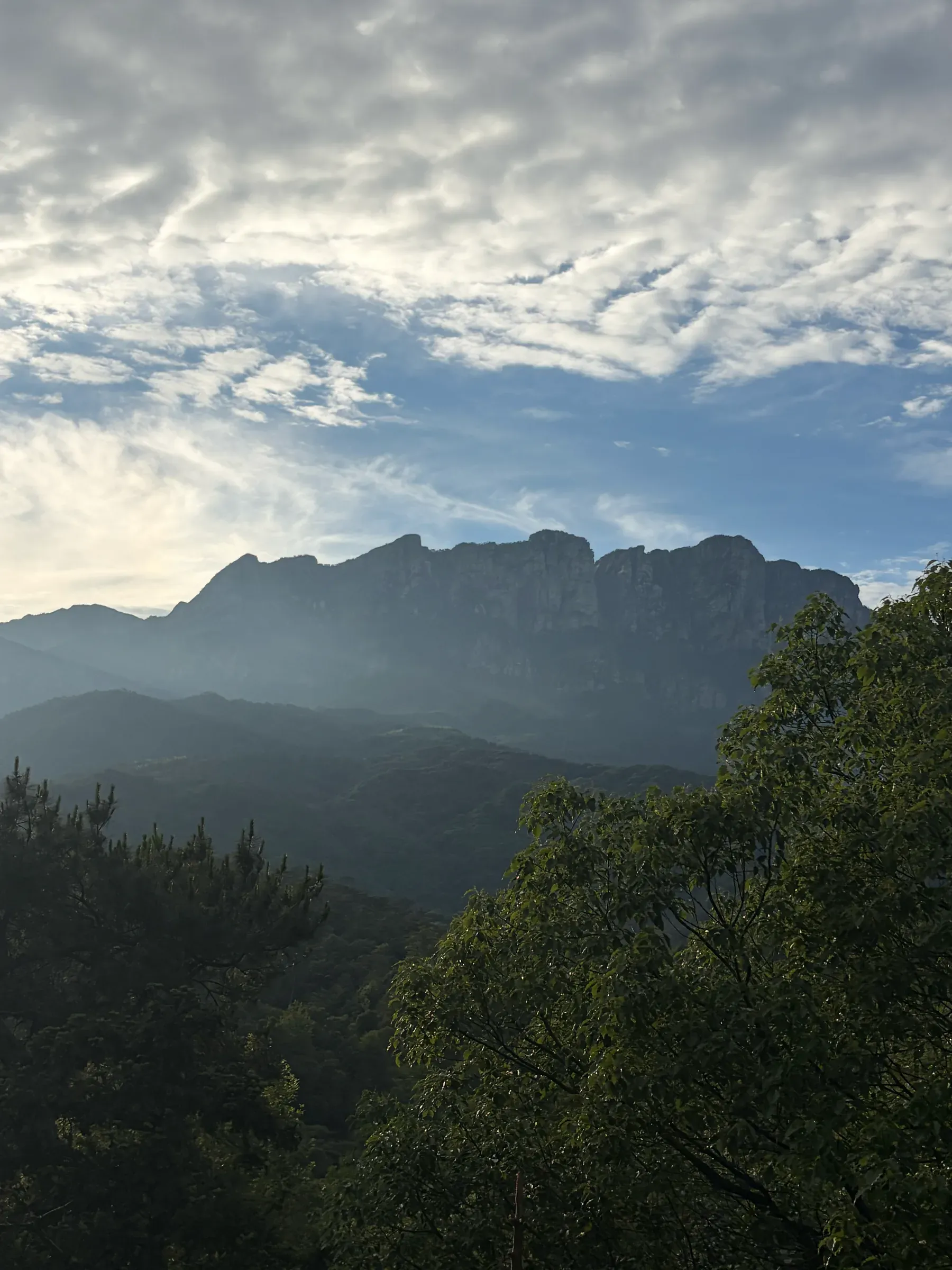 image-20260614010146457
