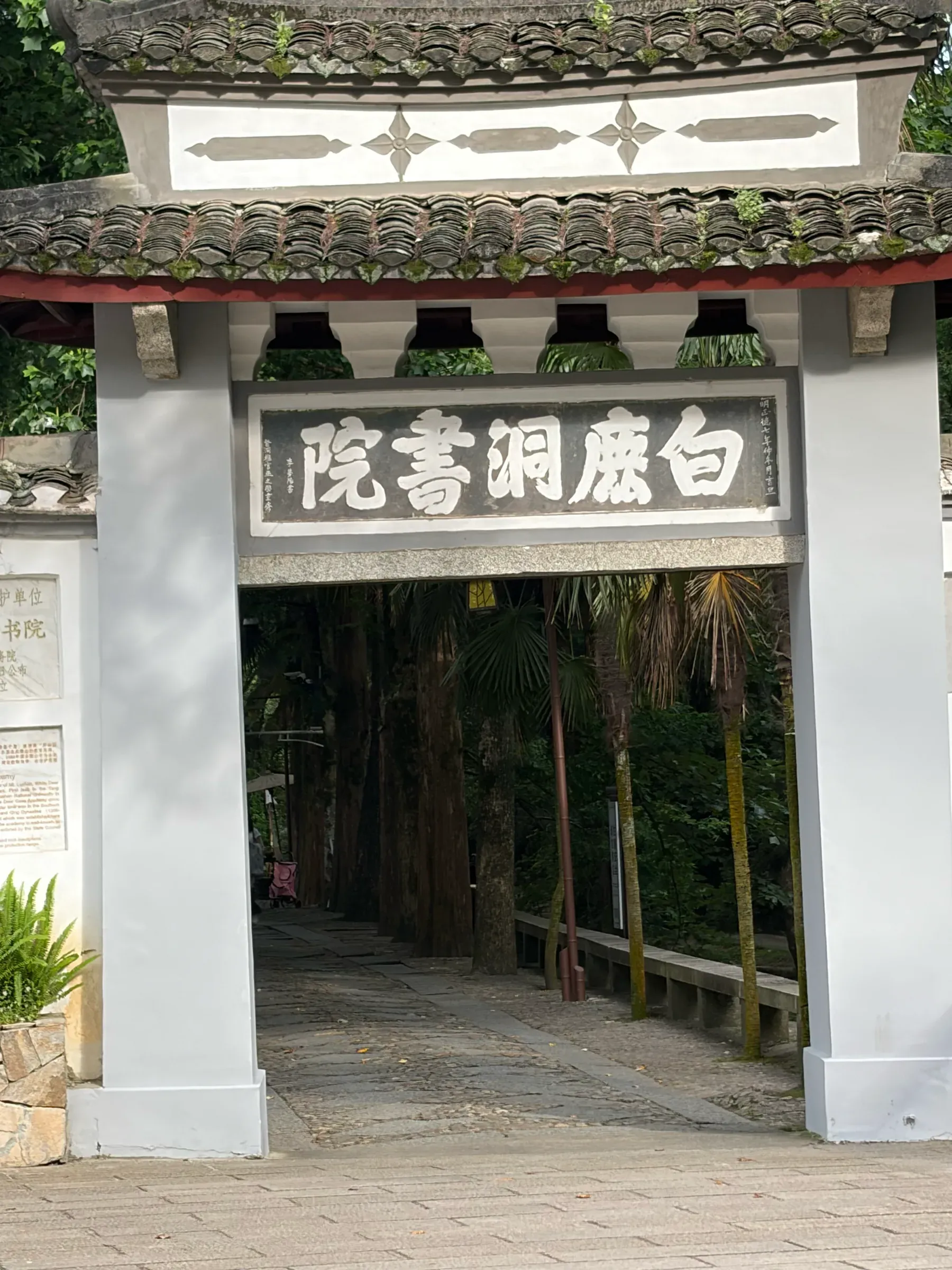 image-20260614010522223