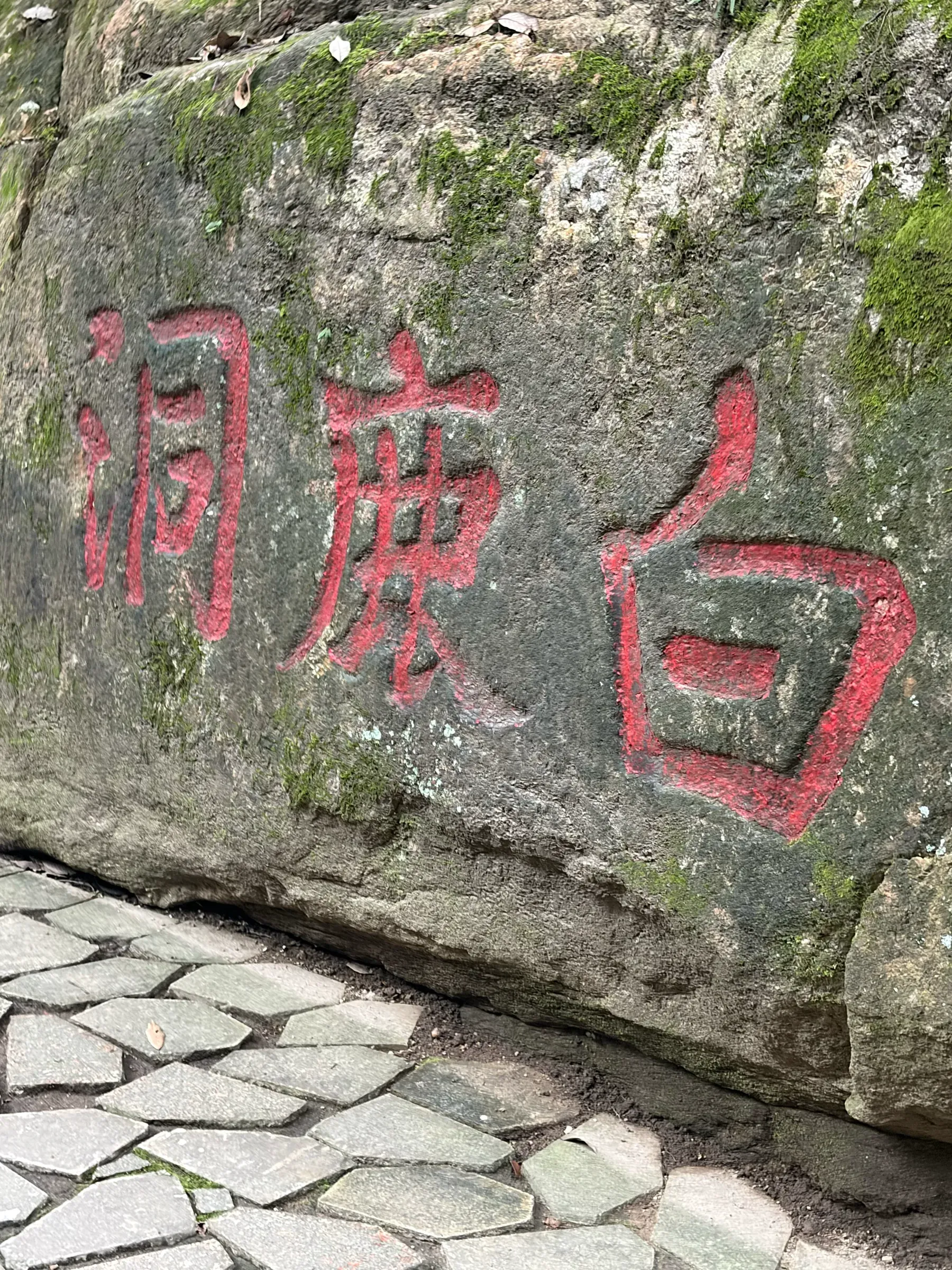 image-20260614010828865