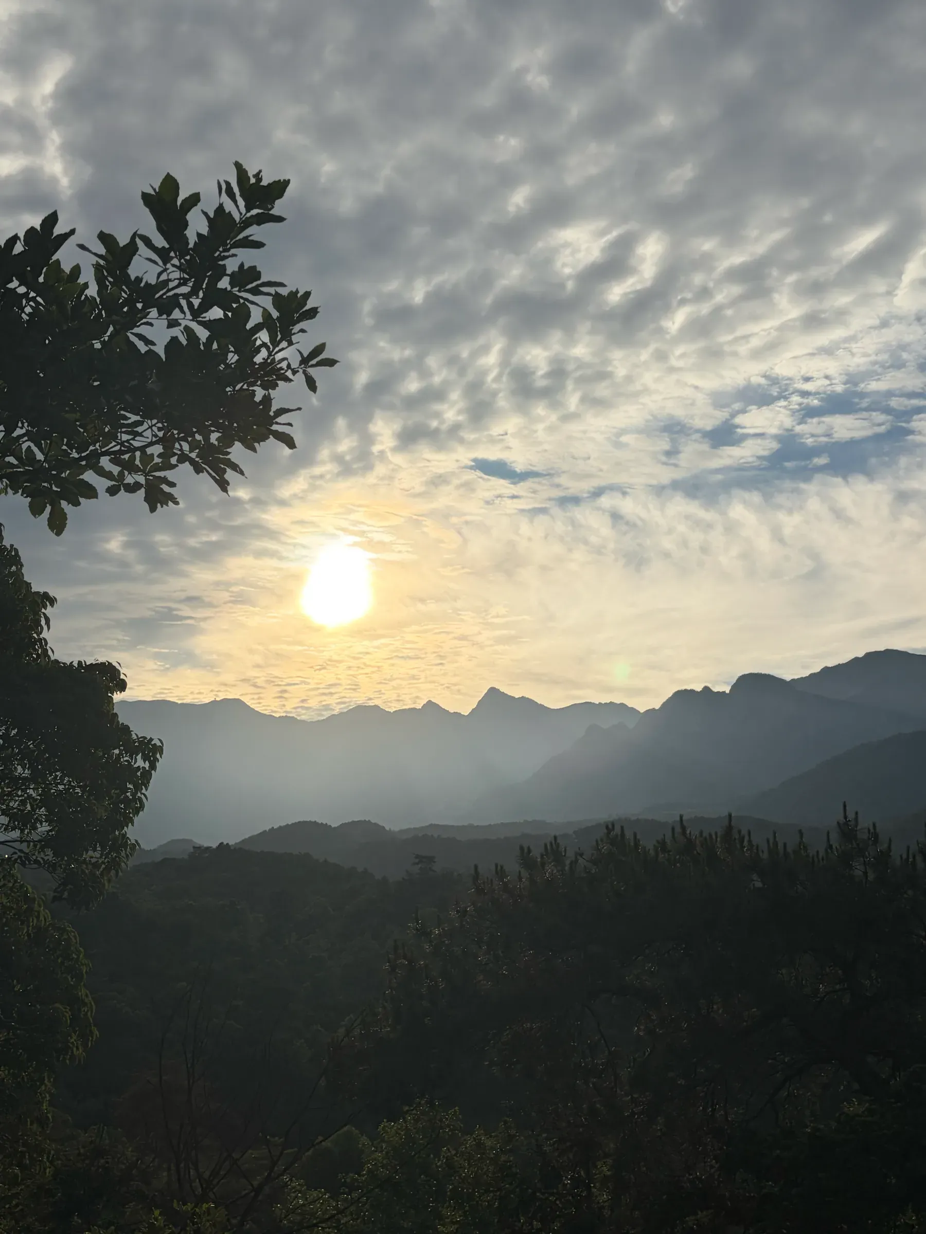 image-20260614010958189